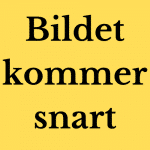 Bilde kommer snart